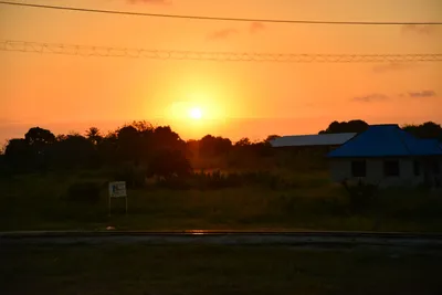 DSC_4252 (Large).JPG